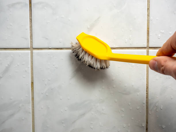 Best Residential Mold Removal  in Edcouch, TX