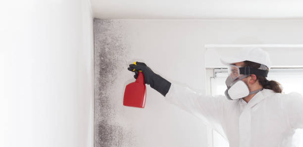 Best Mold Testing  in Edcouch, TX